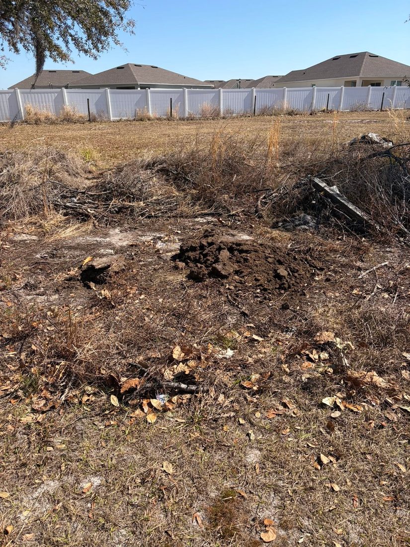 Yard debris removal
